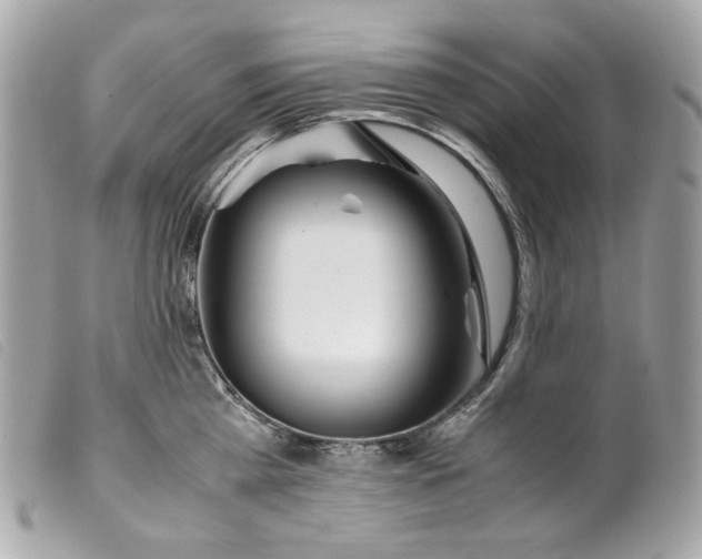 X0000099550809200805301519