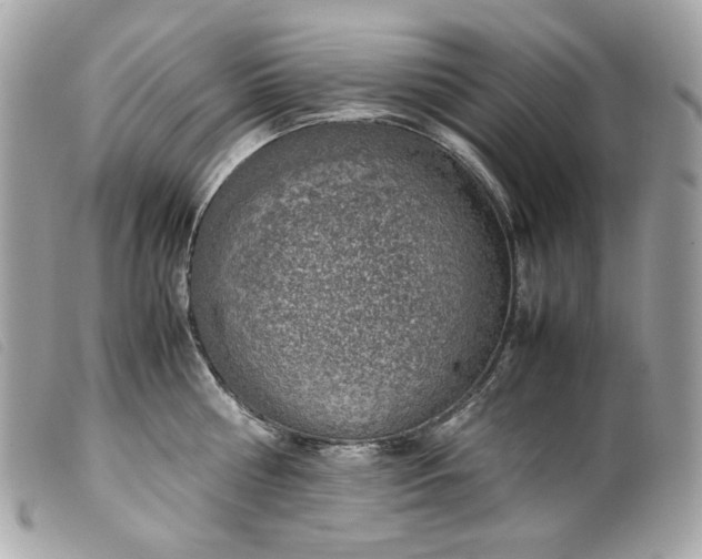 X0000099550810200805301519