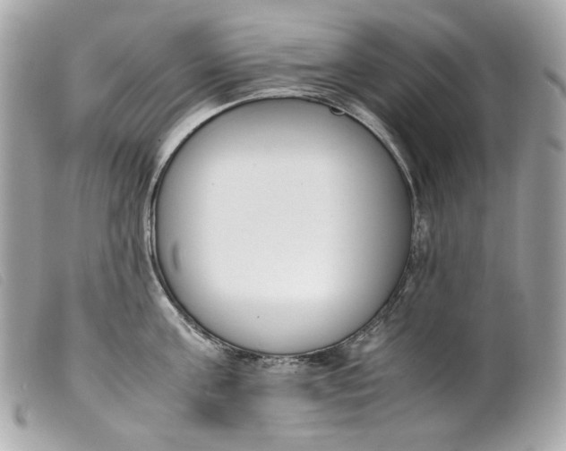 X0000099550811200805301519