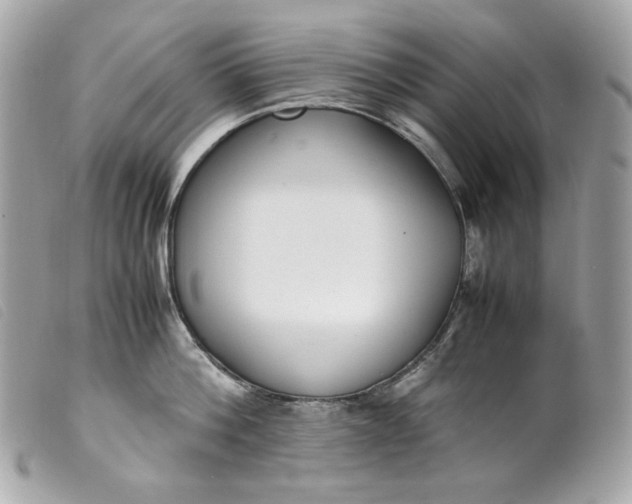 X0000099550812200805301519