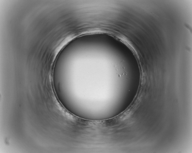 X0000099550813200805301519