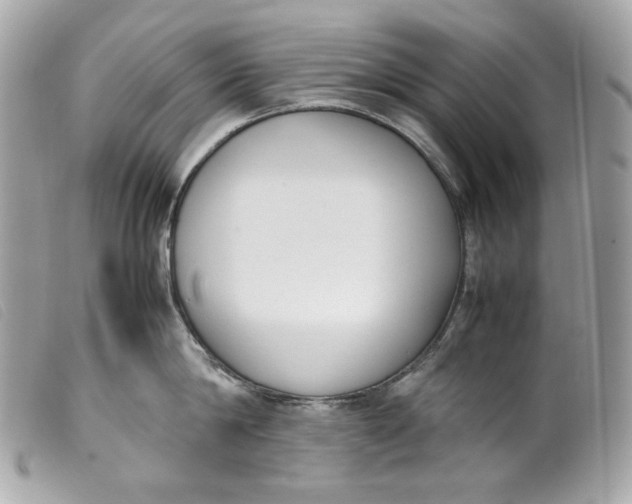 X0000099550814200805301519