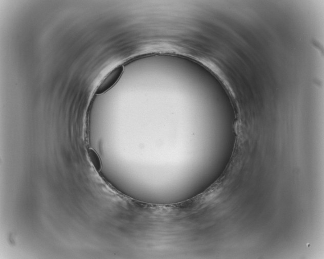 X0000099550815200805301519