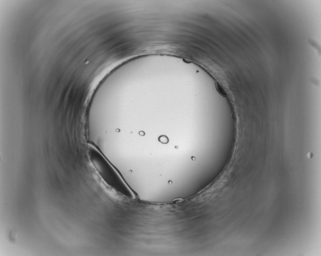 X0000099550816200805301519