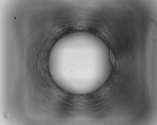 X0000099550817200805301519