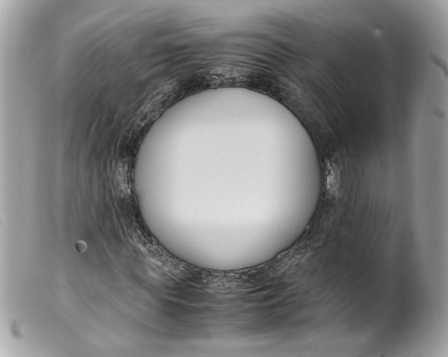 X0000099550819200805301519