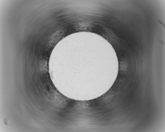 X0000099550820200805301519