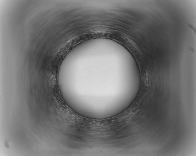 X0000099550821200805301519