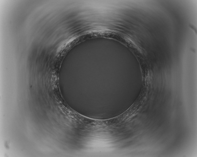 X0000099550822200805301519