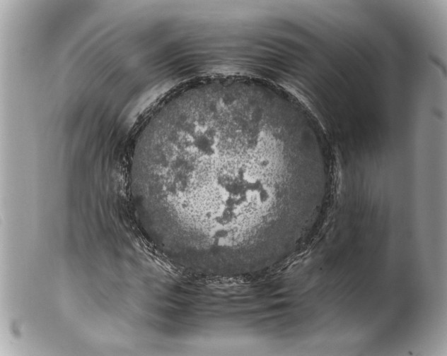 X0000099550823200805301519