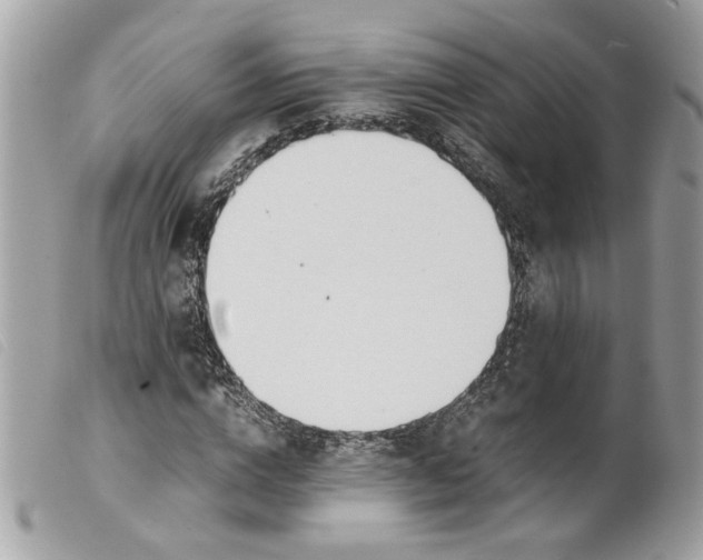 X0000099550824200805301519