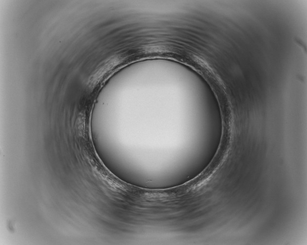 X0000099550825200805301519