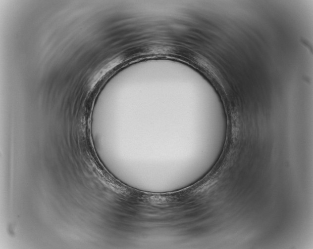 X0000099550827200805301519