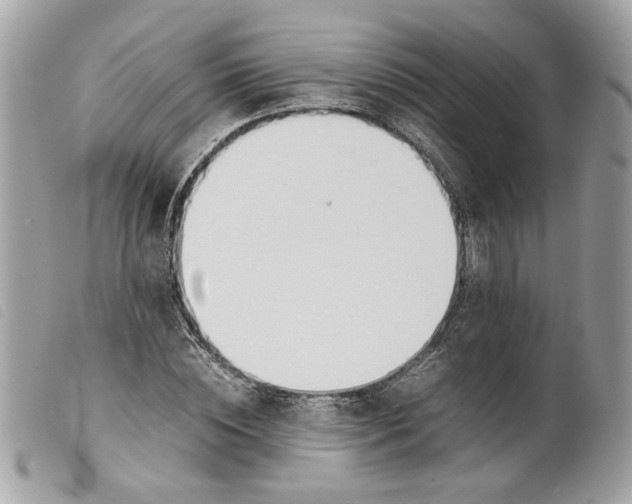 X0000099550828200805301519