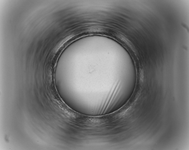 X0000099550829200805301519