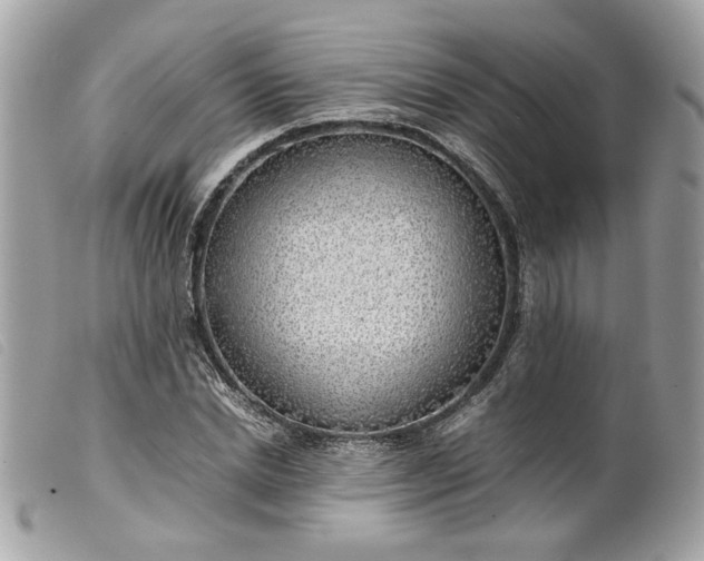 X0000099550830200805301519