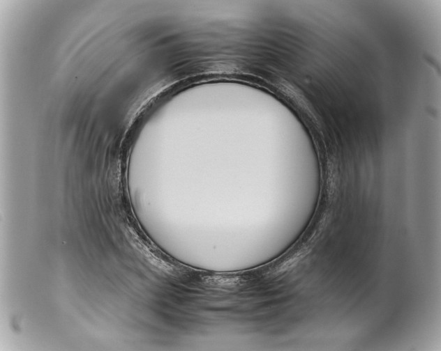 X0000099550831200805301519