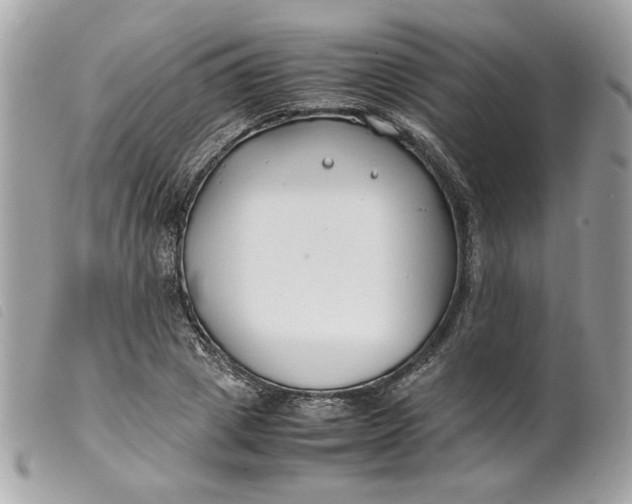 X0000099550833200805301519