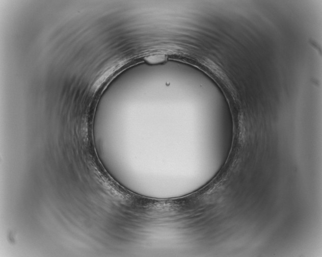 X0000099550834200805301519