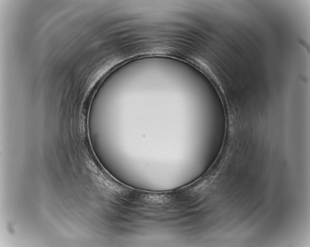 X0000099550835200805301519