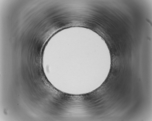 X0000099550836200805301519