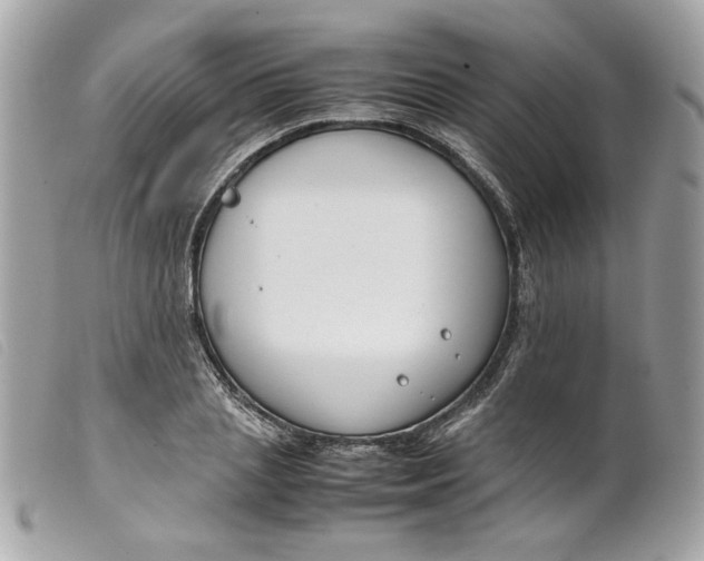 X0000099550837200805301519