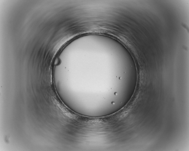 X0000099550838200805301519