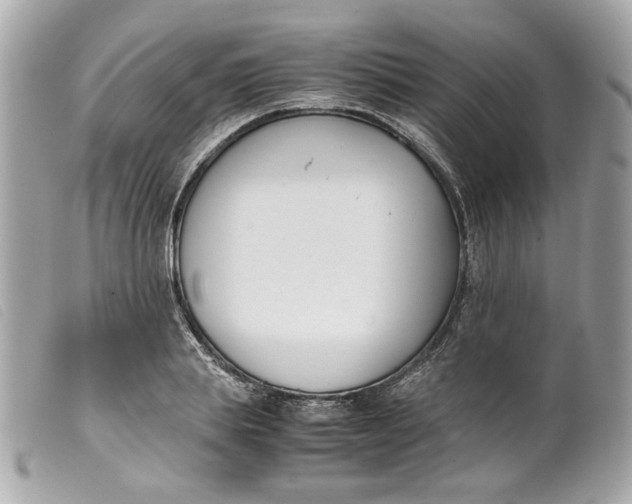 X0000099550839200805301519