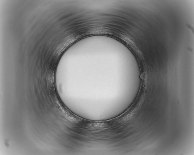 X0000099550841200805301519