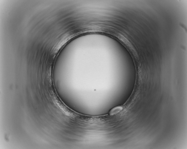 X0000099550842200805301519