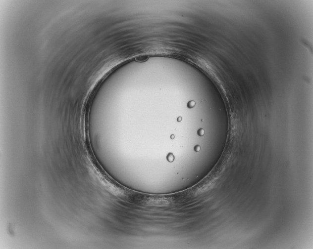 X0000099550843200805301519