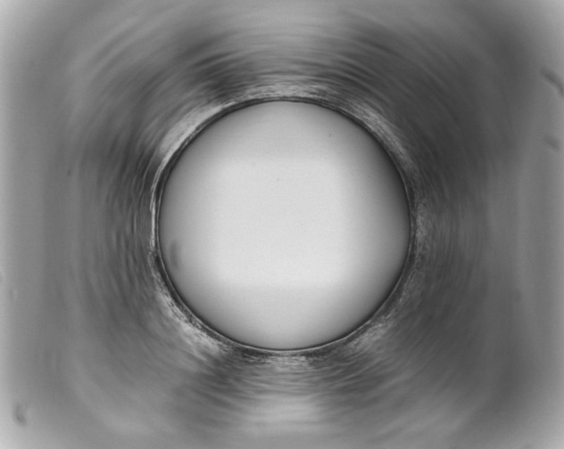 X0000099550844200805301519