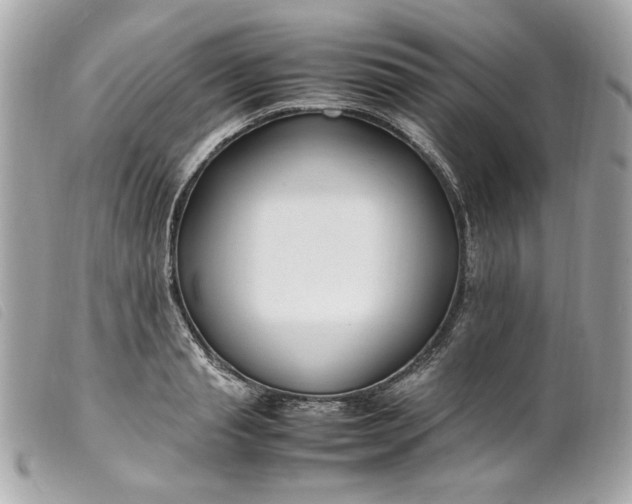 X0000099550845200805301519