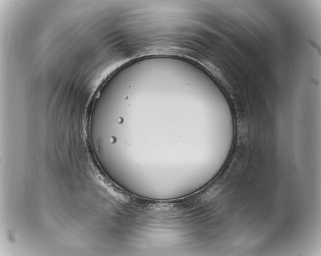 X0000099550846200805301519