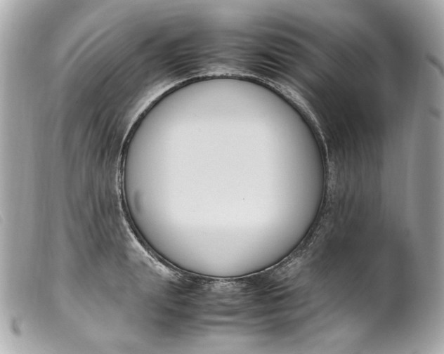 X0000099550847200805301519