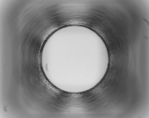 X0000099550848200805301519