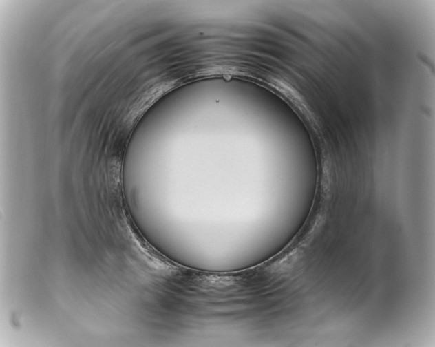 X0000099550849200805301519