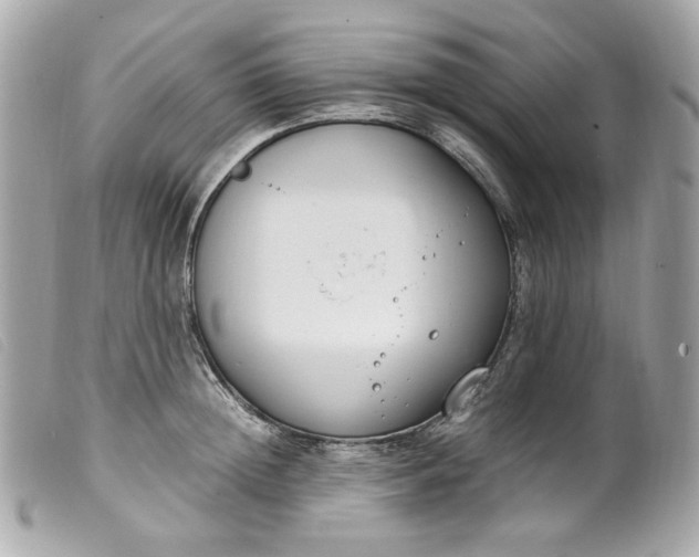 X0000099550852200805301519