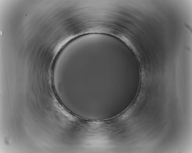 X0000099550854200805301519