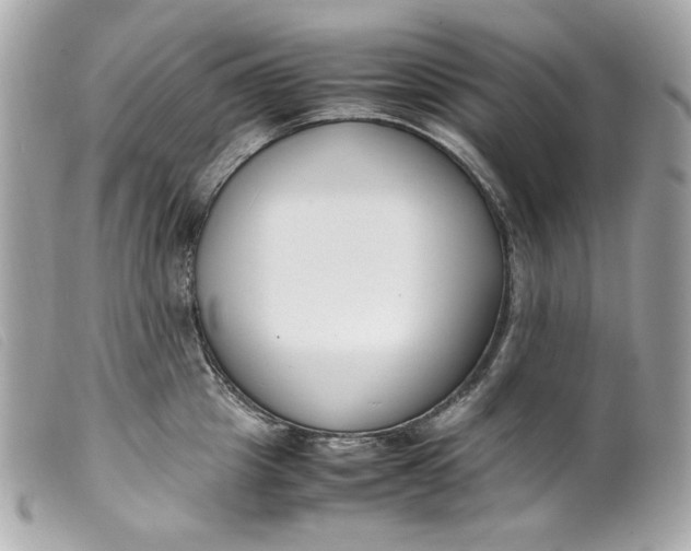 X0000099550857200805301519