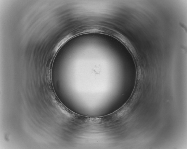 X0000099550858200805301519