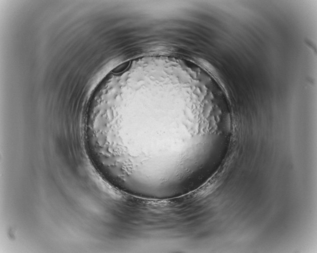 X0000099550859200805301519