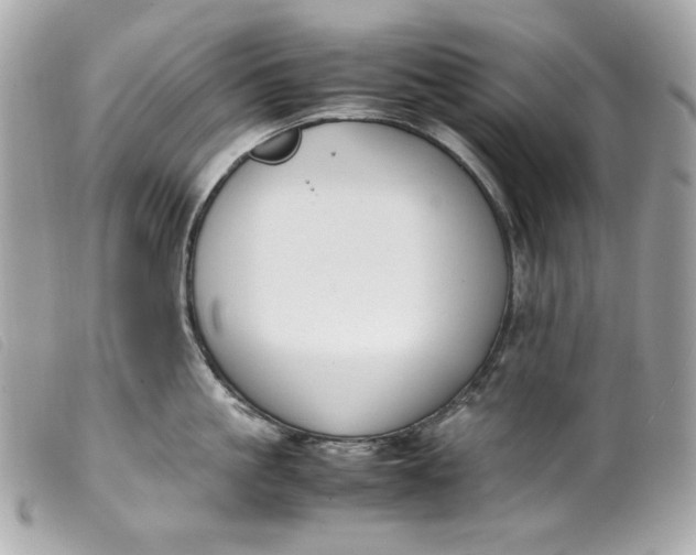 X0000099550861200805301519