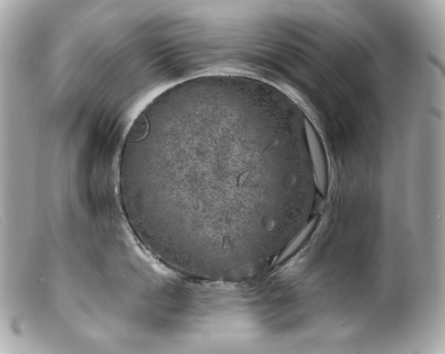 X0000099550862200805301519