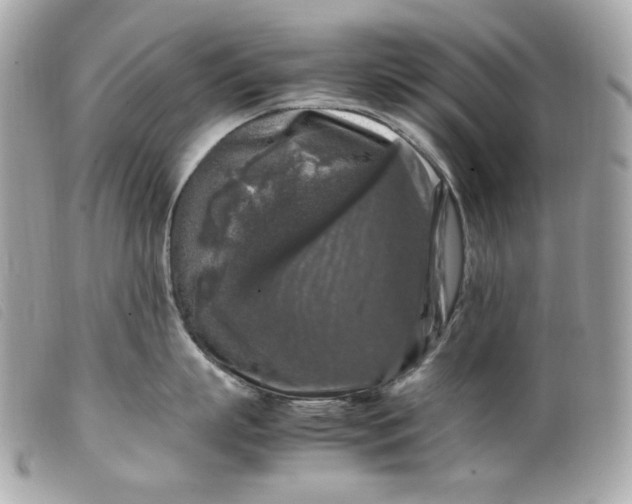 X0000099550863200805301519