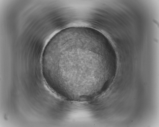 X0000099550864200805301519