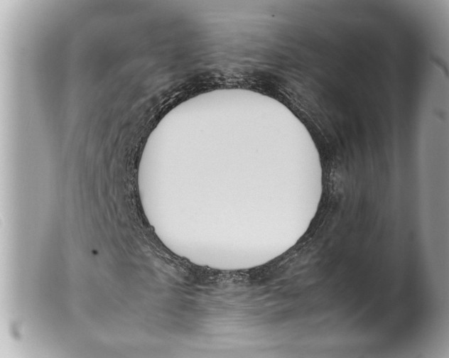 X0000099550865200805301519