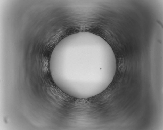 X0000099550866200805301519