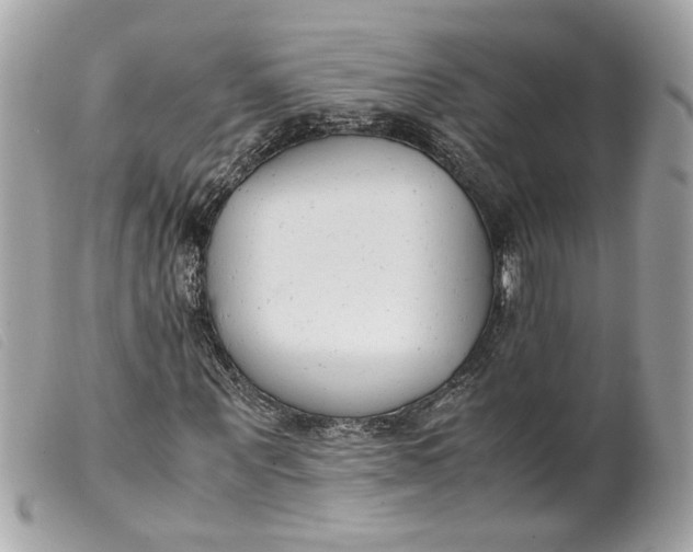 X0000099550867200805301519