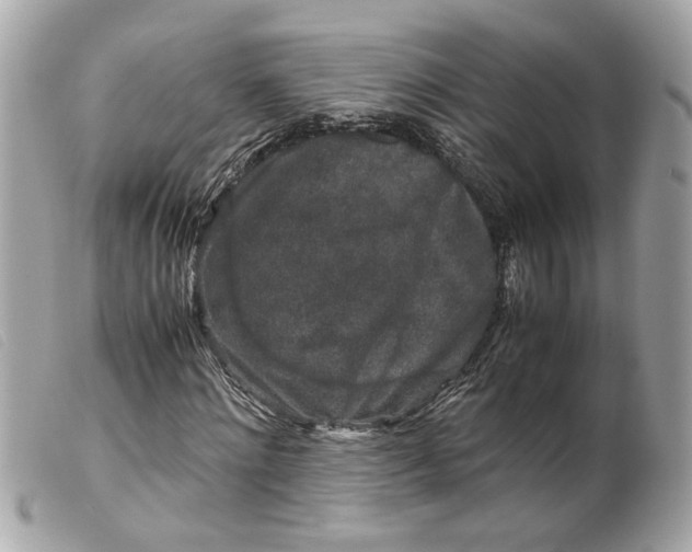 X0000099550868200805301519